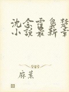 沈念霍枭楚莹莹小说最新章节更新免费阅读封面