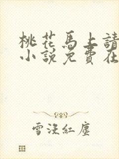 桃花马上请长缨小说免费在线阅读封面