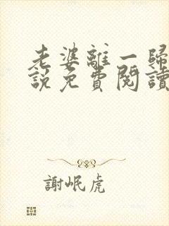 老婆离一归二小说免费阅读封面