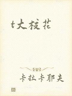 t大校花