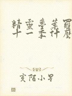 精灵梦叶罗丽第十一季什么时候更新