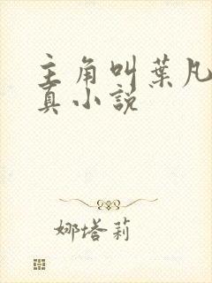 主角叫叶凡的修真小说