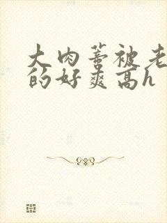 大肉蒂被老头嘬的好爽高h