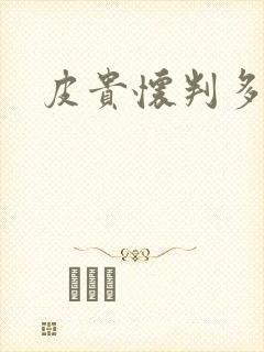 皮贵怀判多少年