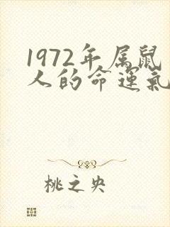 1972年属鼠人的命运气如何