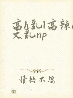 高h乱l高辣h文乱np