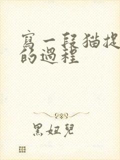 写一段猫捉老鼠的过程