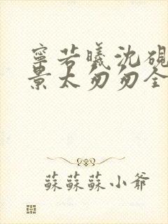 宁若曦沈砚舟盛景太匆匆全文