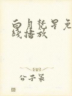 白月梵星免费在线播放封面