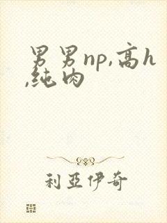 男男np,高h,纯肉