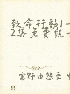 致命行动1—42集免费观看电视剧