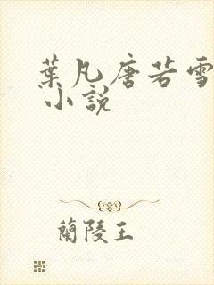 叶凡唐若雪医婿 小说