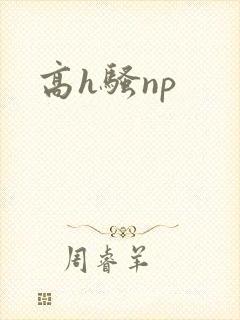 高h骚np