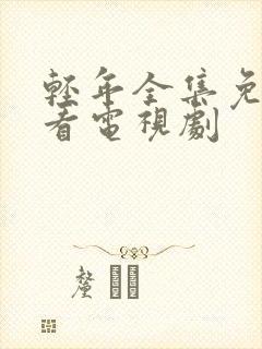 轻年全集免费观看电视剧