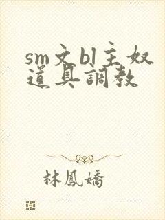 sm文bl主奴道具调教