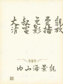 大叔免费观看高清电影播放封面