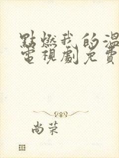 点燃我的温暖你电视剧免费观看高清封面