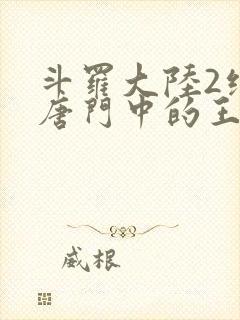 斗罗大陆2绝世唐门中的王冬