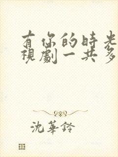 有你的时光里电视剧一共多少集