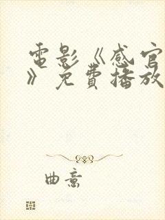 电影《感官世界》免费播放国语