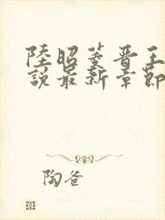 陆昭菱晋王的小说最新章节