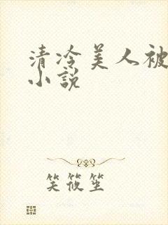 清冷美人被爆操小说