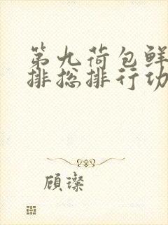 第九荷包鲜辣肉排总排行功能介绍