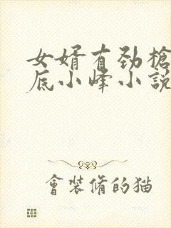 女婿有劲枪枪到底小峰小说