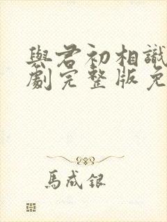 与君初相识电视剧完整版免费封面