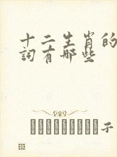 十二生肖的形容词有哪些封面