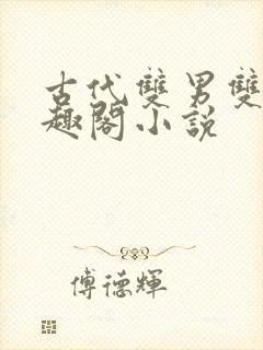 古代双男双性笔趣阁小说