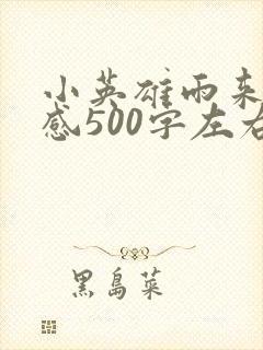 小英雄雨来读后感500字左右