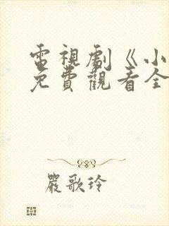 电视剧《小舅》免费观看全集高清封面