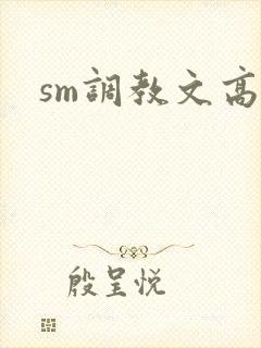 sm调教文高h