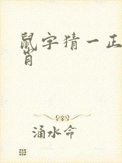 鼠字猜一正确生肖