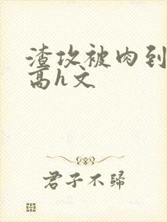 渣攻被肉到失禁高h文