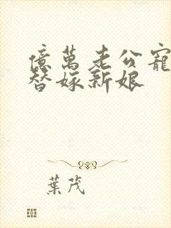 亿万老公宠上天替嫁新娘