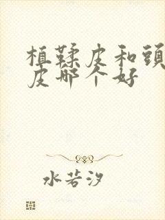 植鞣皮和头层牛皮哪个好