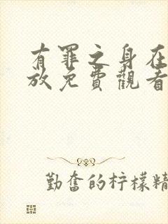 有罪之身在线播放免费观看全集