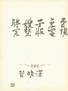 胖嫂子免费观看完整版电视剧高清封面