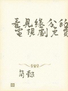 看见缘分的少女 电视剧免费观看