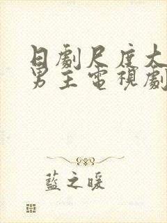 日剧尺度大的双男主电视剧