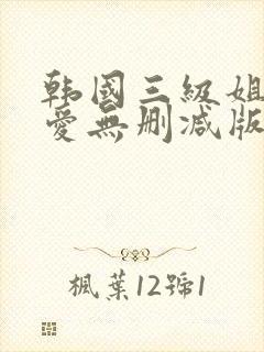 韩国三级姐姐的爱无删减版封面