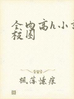 全肉高h小说 校园