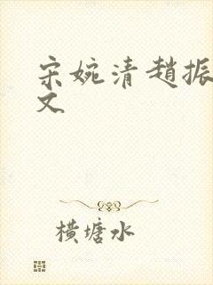 宋婉清赵振国全文