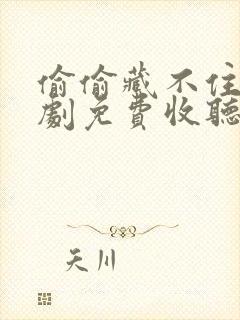 偷偷藏不住广播剧免费收听