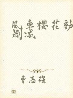 风车樱花动漫无删减