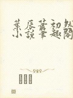 叶辰萧初然顶点小说笔趣阁封面