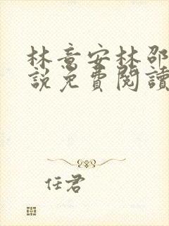 林意安林邵民小说免费阅读最新章节封面