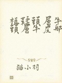 植鞣头层牛皮和头层牛皮哪个好